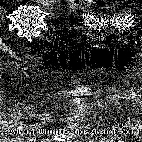 Wallachian Windspirit / Odious Chasm of Scorn