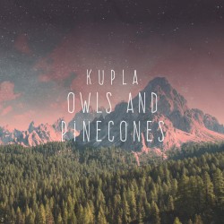 Owls and Pinecones