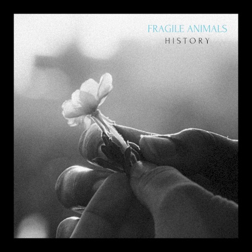 History