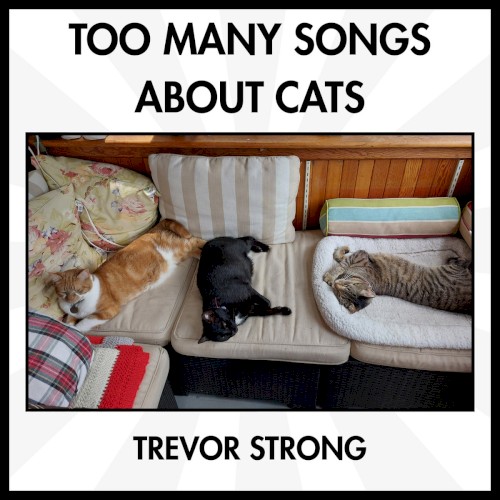 Too Many Songs About Cats