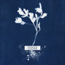 Feigur / Lustre