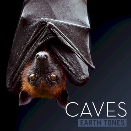Caves