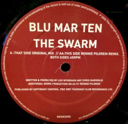 The Swarm