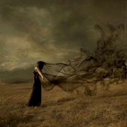 Ashes of Light