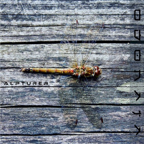 Odonata