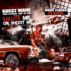 Salute Me or Shoot Me