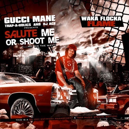 Salute Me or Shoot Me
