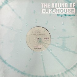 The Sound of Eukahouse Vinyl Sampler