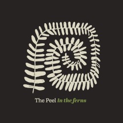 In the Ferns