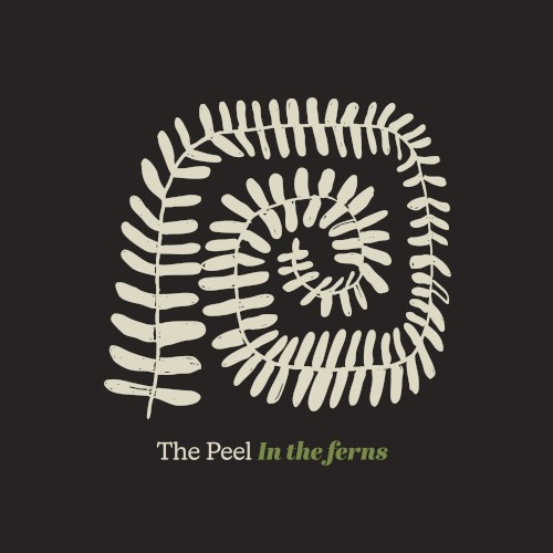 In the Ferns
