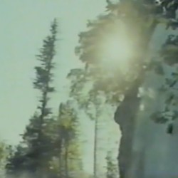 vilse i skogen