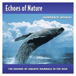 Echoes of Nature: Humpback Whales