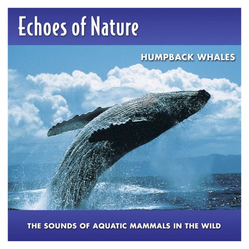 Echoes of Nature: Humpback Whales