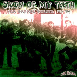 USA Garage Greats 1965-1967: Vol. 109: Skin of My Teeth