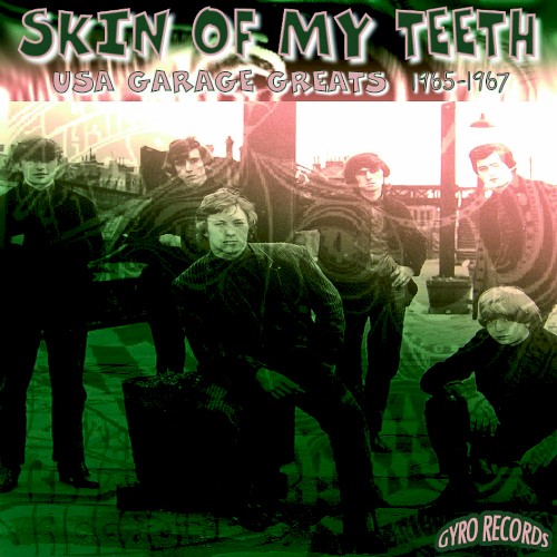 USA Garage Greats 1965-1967: Vol. 109: Skin of My Teeth