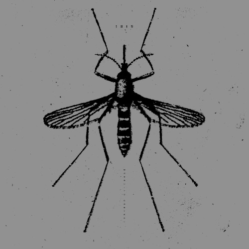 The Mosquito Control EP