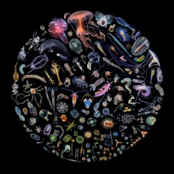 Racing Extinction