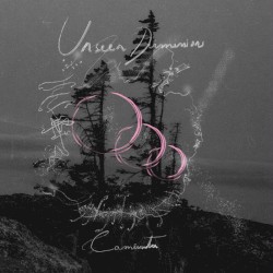 Unseen Dimensions