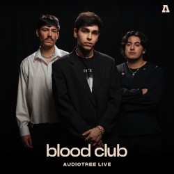 Audiotree Live