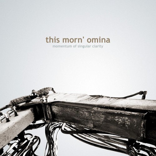 Momentum of Singular Clarity