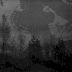 Inmitten des Waldes / Mortualia