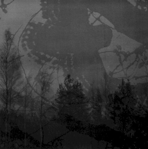 Inmitten des Waldes / Mortualia