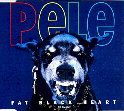 Fat Black Heart