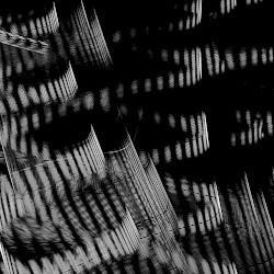 Stasis
