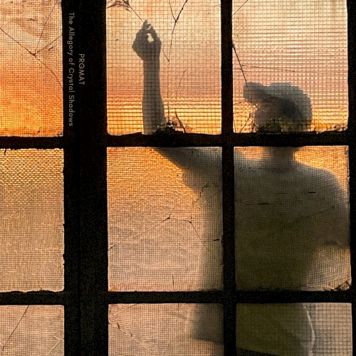 The Allegory of Crystal Shadows