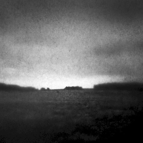 Fields