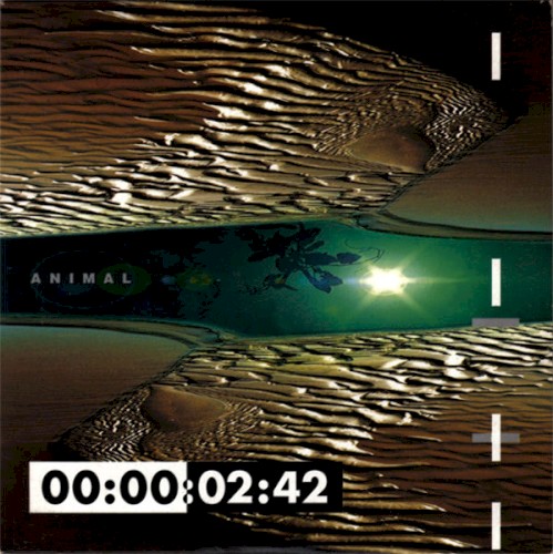 Animal