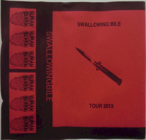 Tour 2013