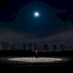 Night Light