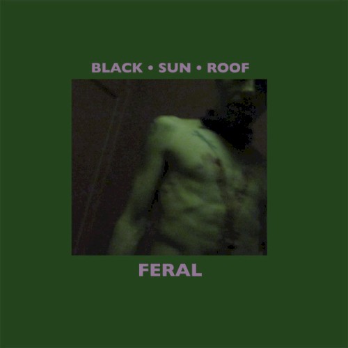 Feral