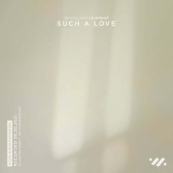 Such a Love (live)
