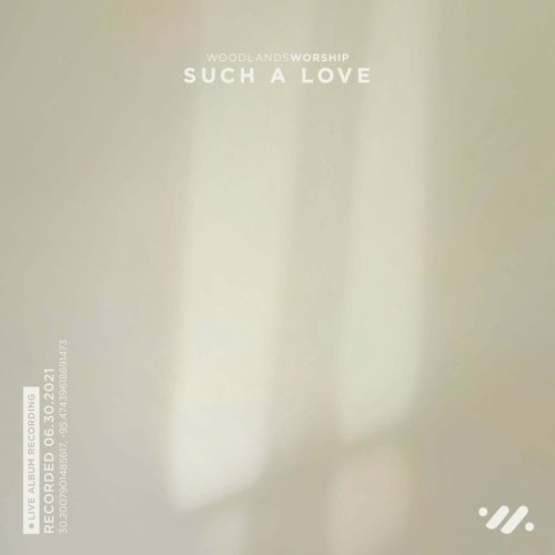 Such a Love (live)