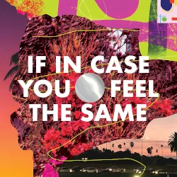 If In Case You Feel The Same