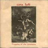 Tragedy of the Commons