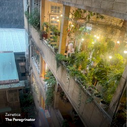 The Peregrinator