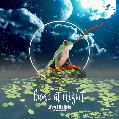 Frogs at Night