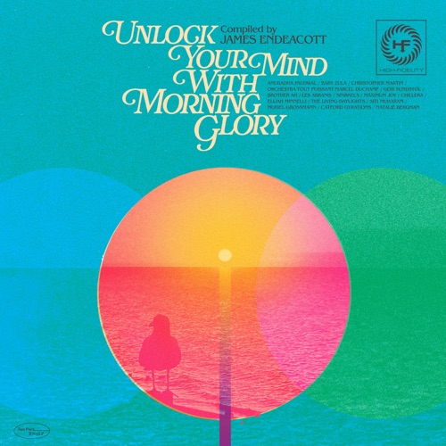 Unlock Your Mind with Morning Glory