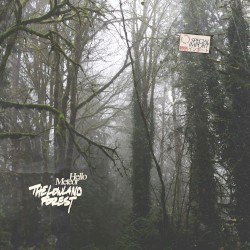 The Lowland Forest
