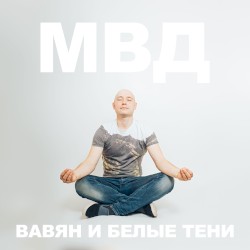 Шансон (acoustic version)