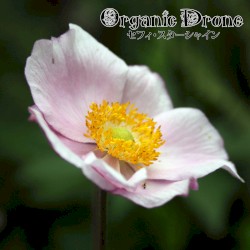 Organic Drone