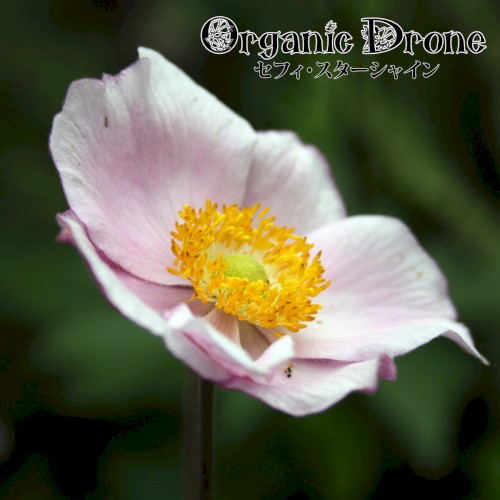 Organic Drone