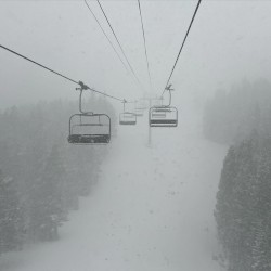 Snowboard Jazz