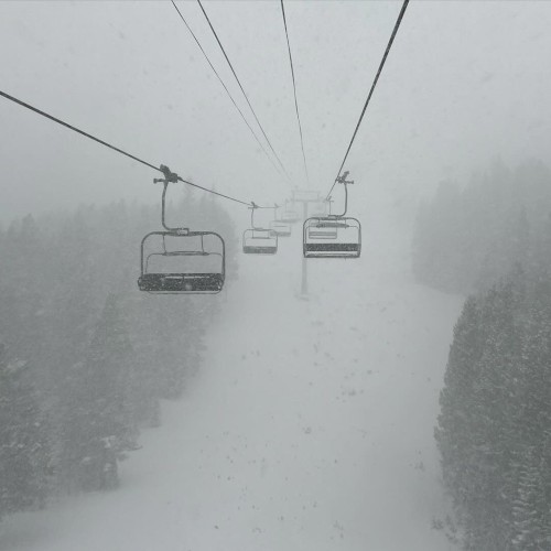 Snowboard Jazz