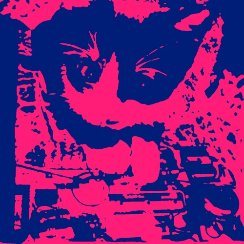 Live at NAVARO 20231231