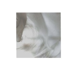 Untitled (April 2020)