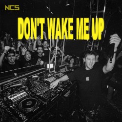 Don't Wake Me Up